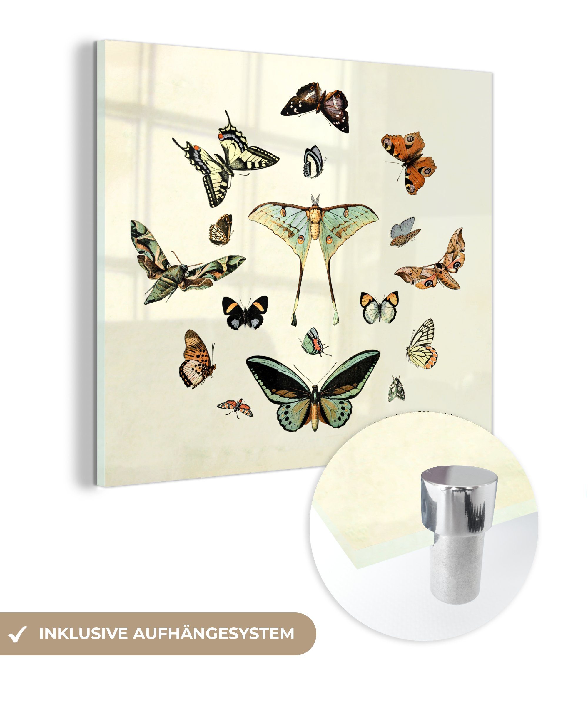 MuchoWow Acrylglasbild Schmetterling - Tiere - Vintage, (1 St), Glasbilder - Bilder auf Glas Wandbild - Foto auf Glas - Wanddekoration