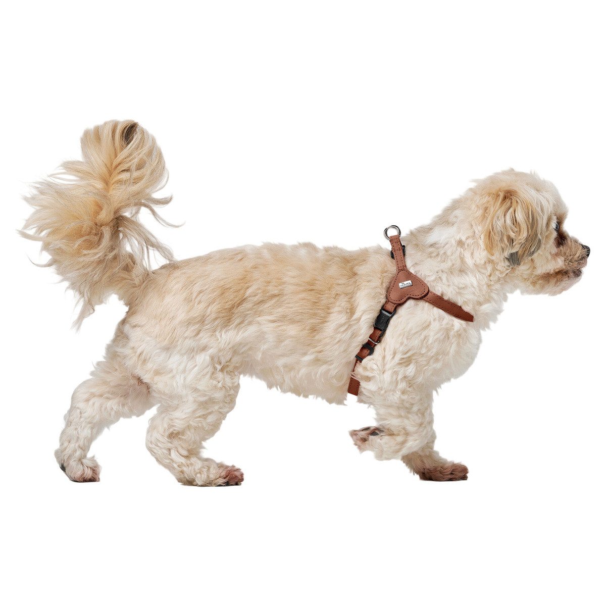 Hunter Tierbedarf Hunde-Geschirr Geschirr Soho Mini günstig online kaufen