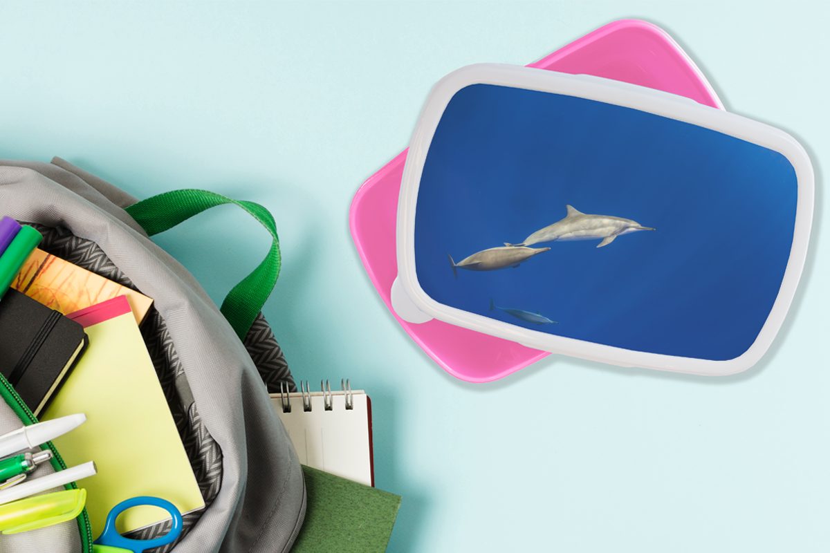 Brotbox Lunchbox Kunststoff, - Mädchen, Meer, MuchoWow für Kunststoff (2-tlg), Kinder, rosa Tier Delfin - Snackbox, Erwachsene, Brotdose