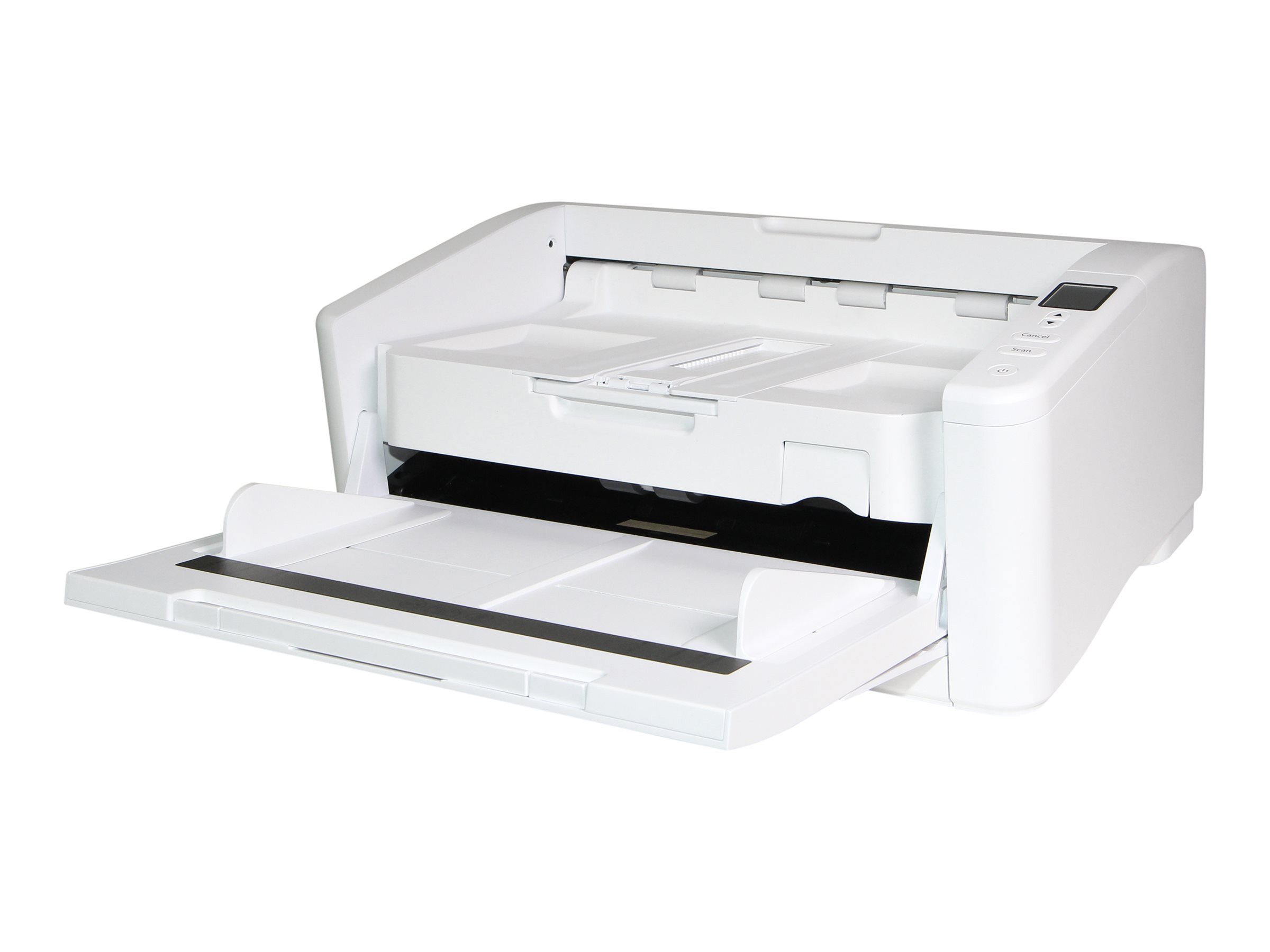 Avision Scanner