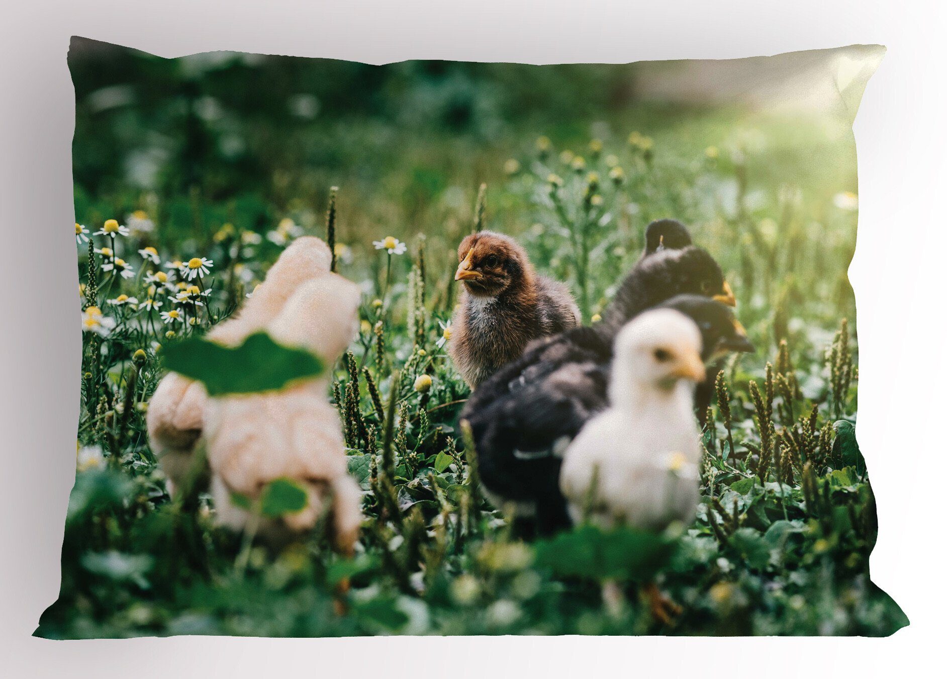 Kissenbezüge Dekorativer Standard King Size Gedruckter Kissenbezug, Abakuhaus (1 Stück), Chicks Kleine Hühner in den Gänseblümchen
