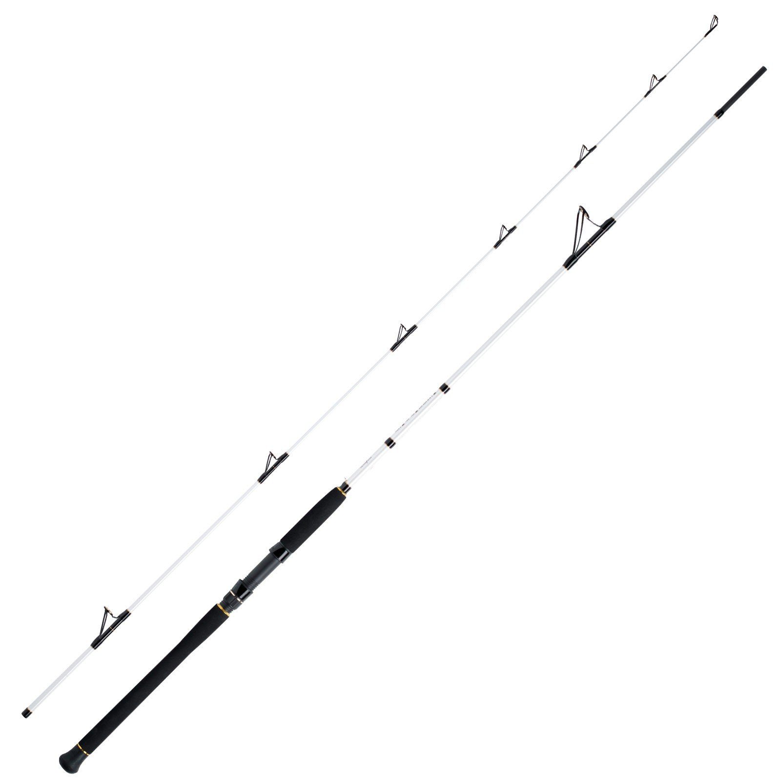 WFT Pilkrute, (2-tlg), WFT Coastal Jigger Salzmeister 2,75m 40-160g Meeresrute 2-Teilig