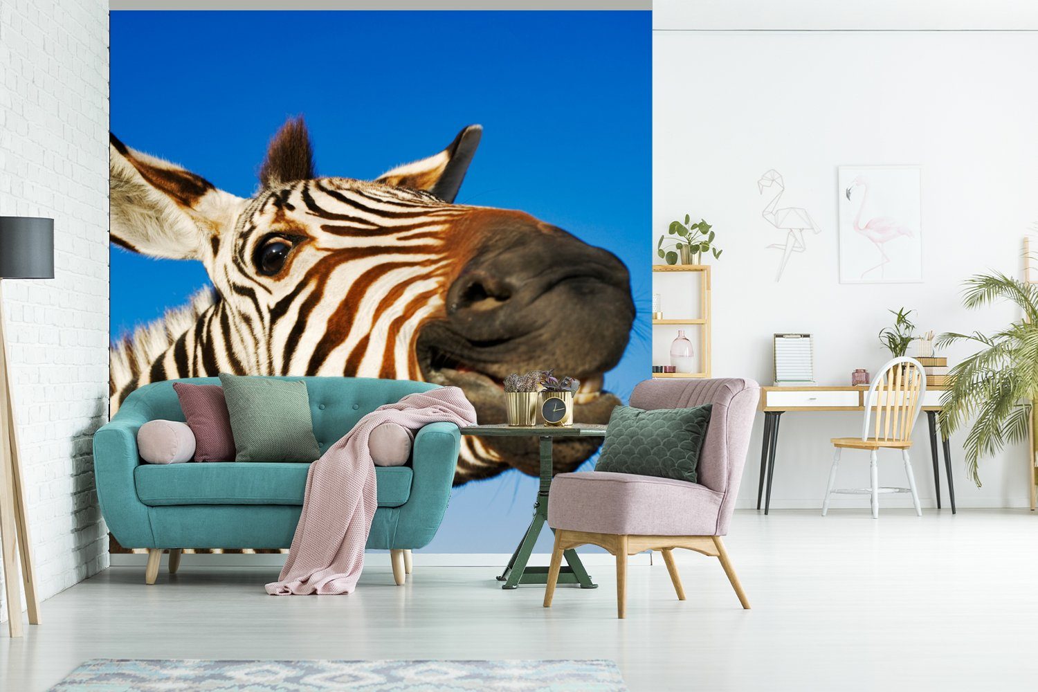 bedruckt, Zebra - St), für Matt, - Schlafzimmer Jungen Fototapete Küche, Wohnzimmer Kinder Mädchen, MuchoWow Lustig (4 Fototapete - - Vliestapete