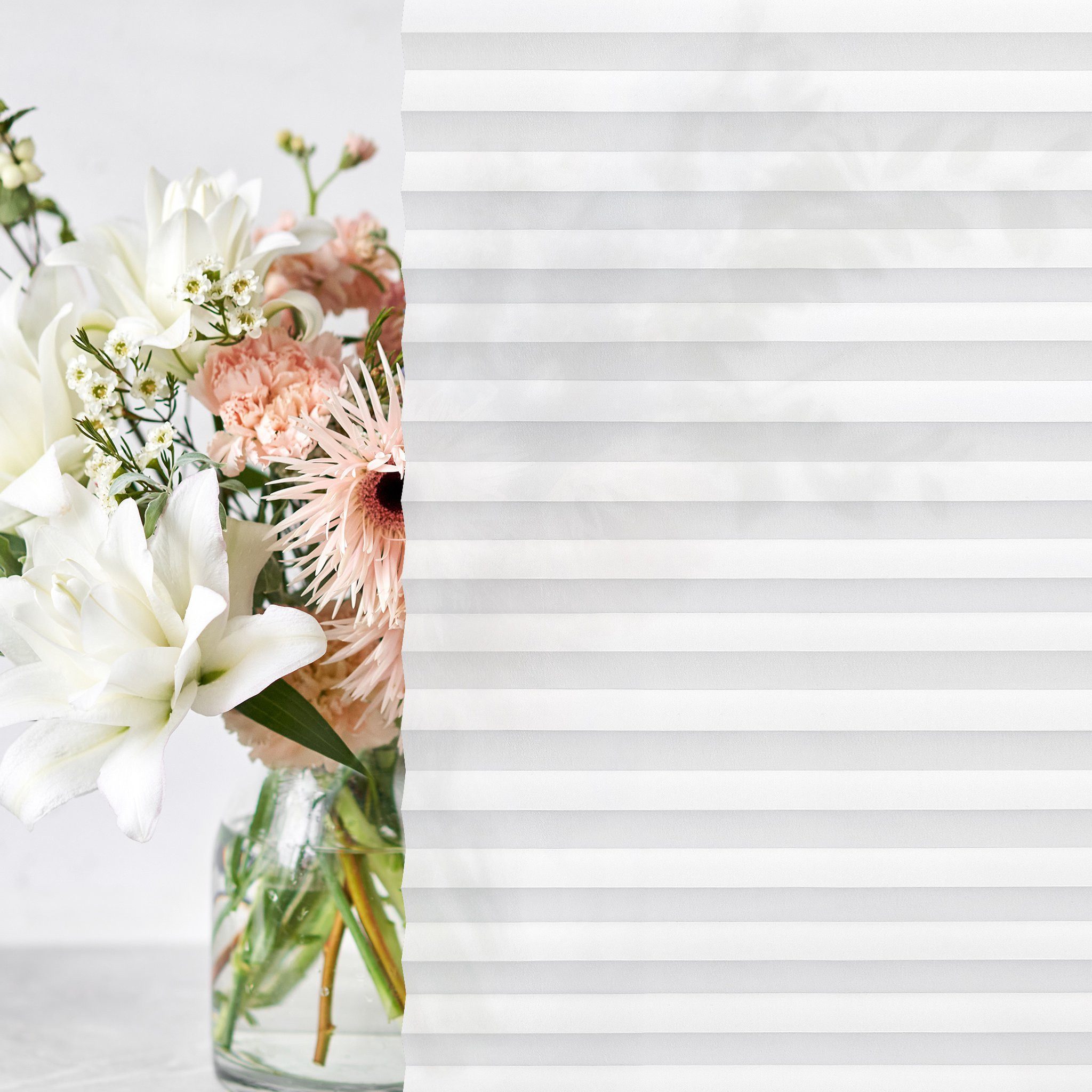 jalousiescout Plissee Pure Plissee Premium, 30 x 100 cm, weiß, halbtranspar günstig online kaufen