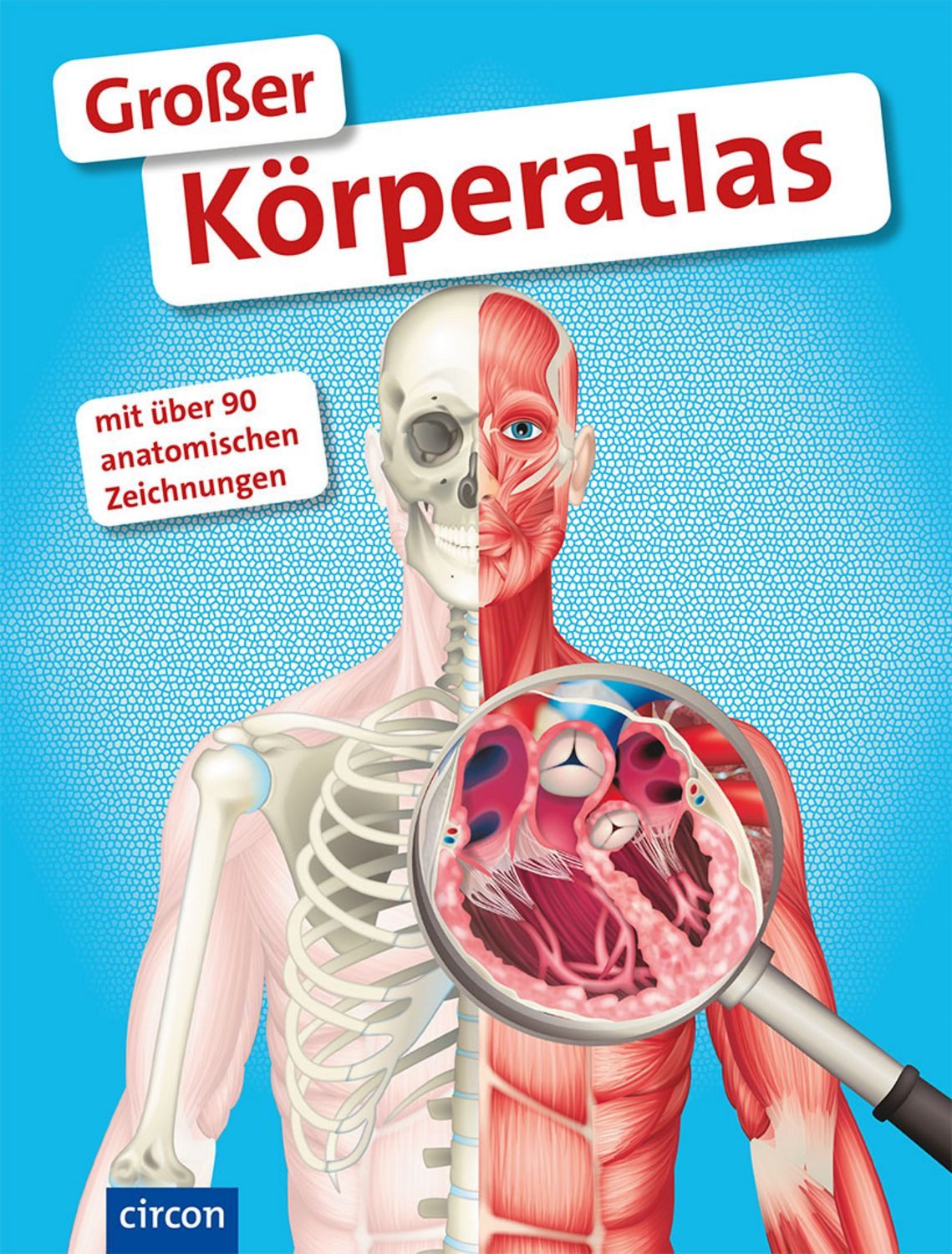 Großer Körperatlas / Stefanie Zysk