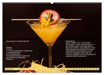 CALVENDO Wandkalender Faszination Gin Cocktails (Premium, hochwertiger DIN A2 Wandkalender 2023, Kunstdruck in Hochglanz)