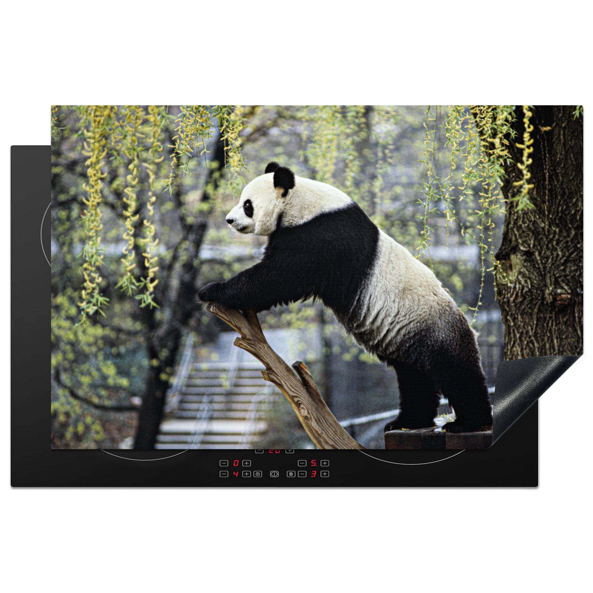MuchoWow Herdblende-/Abdeckplatte Panda - Fluss - Baum, Vinyl, (1 tlg), 81x52 cm, Induktionskochfeld Schutz für die küche, Ceranfeldabdeckung