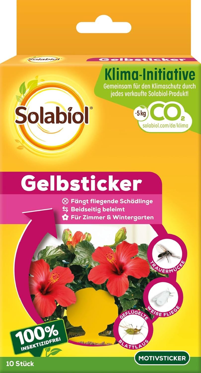 SBM Klebefalle Solabiol Gelbsticker 10 Stück Spezialleim ohne Insektizid