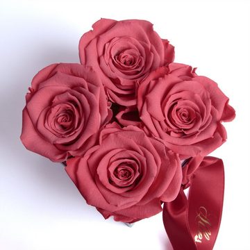 ROSEMARIE SCHULZ Heidelberg Dekoobjekt Infinity Rosenbox Alles Liebe zum Geburtstag Blumen Geschenk, Echte Rose haltbar bis zu 3 Jahre