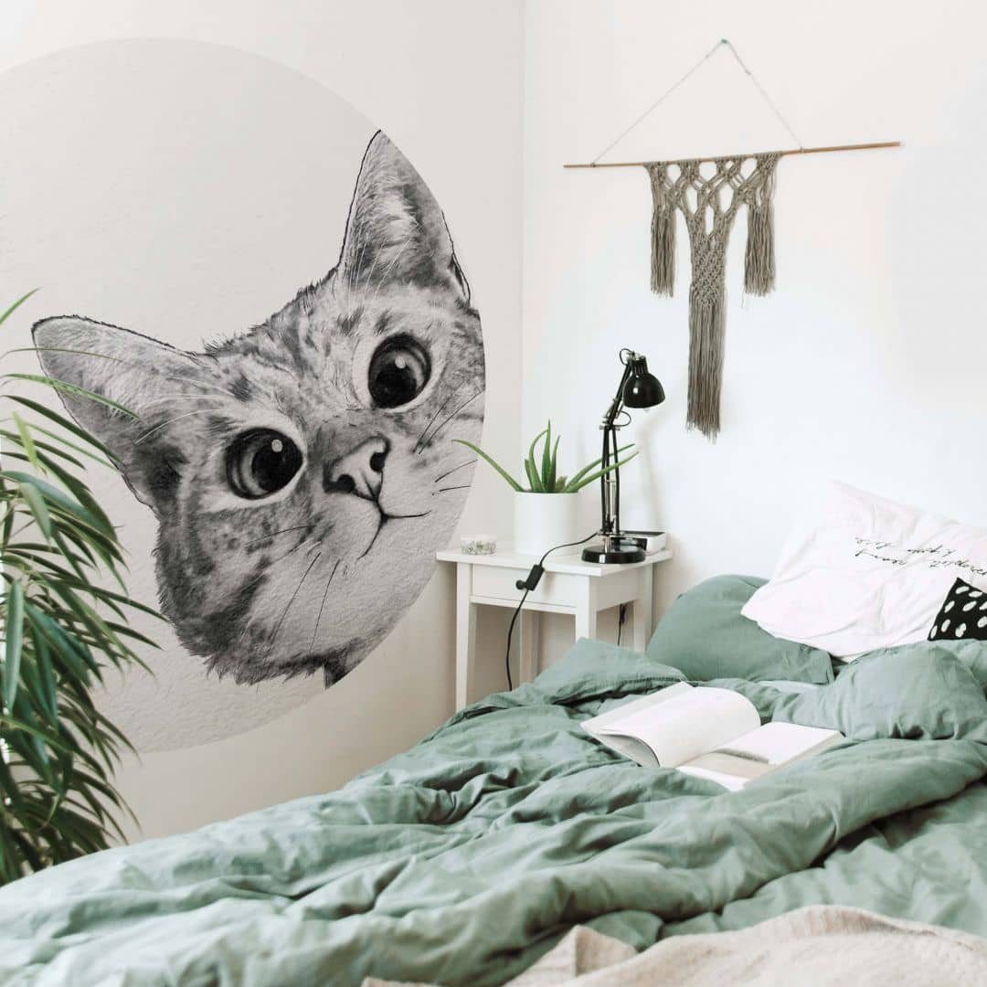 K&L Wall Art Fototapete »Runde Fototapete Graves Kleine Katze Tapete  Kinderzimmer Vliestapete Kätzchen«, Neugierig online kaufen | OTTO