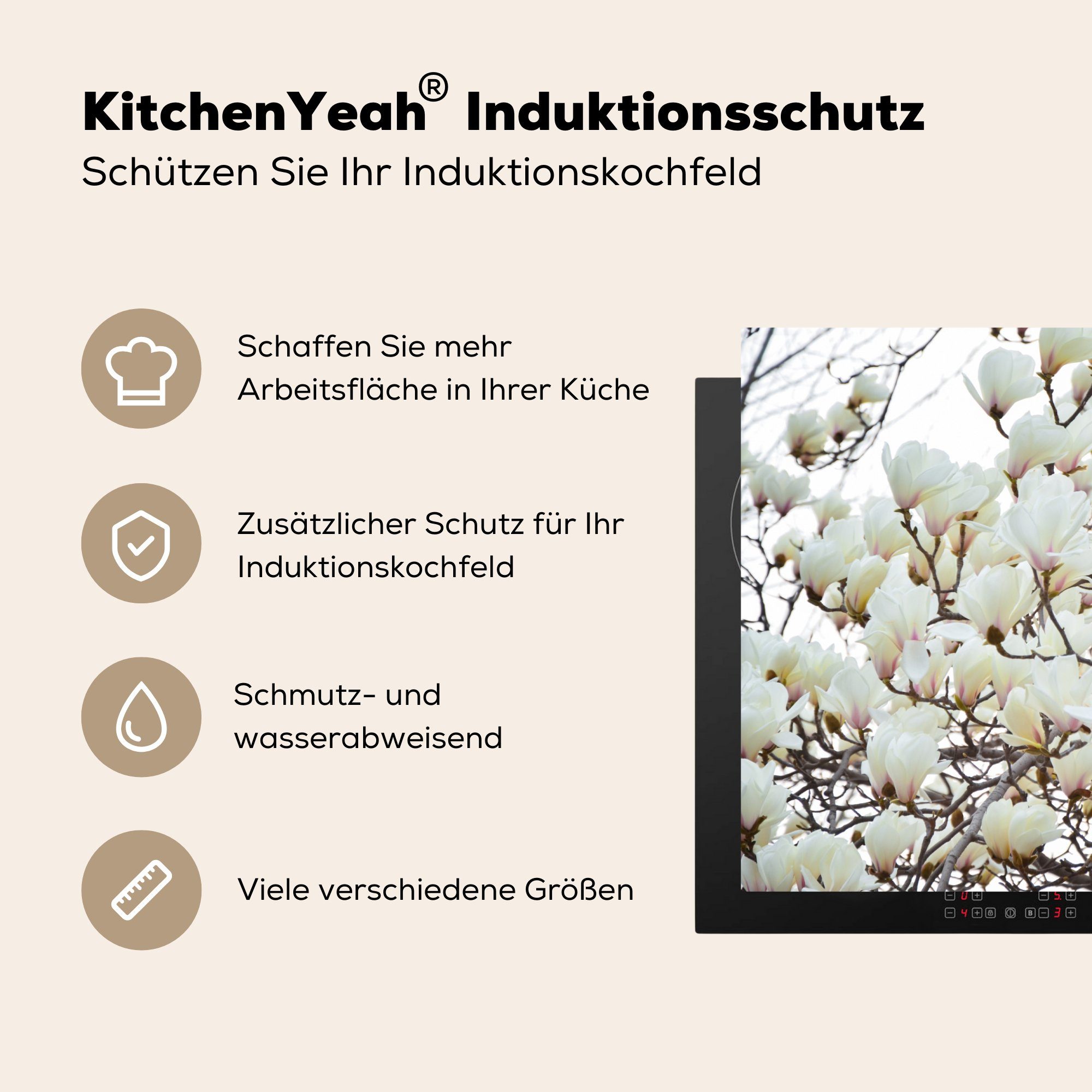 Vinyl, Induktionskochfeld in die Weiße Schutz für küche, Magnolienblüten (1 cm, tlg), voller Blüte, Herdblende-/Abdeckplatte MuchoWow Ceranfeldabdeckung 81x52