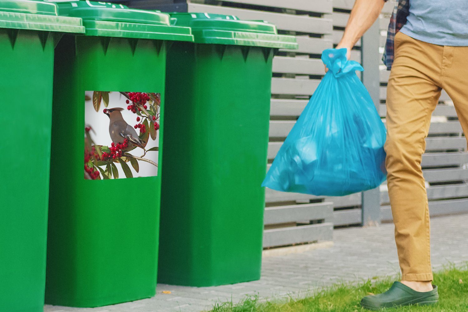 Mülltonne, Pestvogel MuchoWow ernährt von Beeren Wandsticker Sticker, in Abfalbehälter (1 St), Mülleimer-aufkleber, sich Container, England