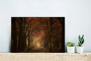 OneMillionCanvasses® Leinwandbild Waldweg - Herbst - Wald - Bäume und Pflanzen - Natur, (1 St), Wandbild Leinwandbilder, Aufhängefertig, Wanddeko, 30x20 cm