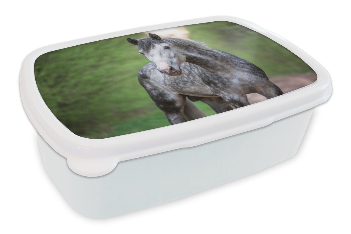 MuchoWow Lunchbox Pferd - Wald - Porträt, Kunststoff, (2-tlg), Brotbox für Kinder und Erwachsene, Brotdose, für Jungs und Mädchen weiß
