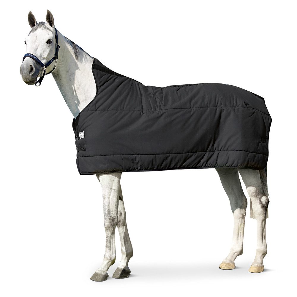 Eskadron Pferde-Unterdecke Eskadron Basics Thermo Cotton 240 Unterdecke