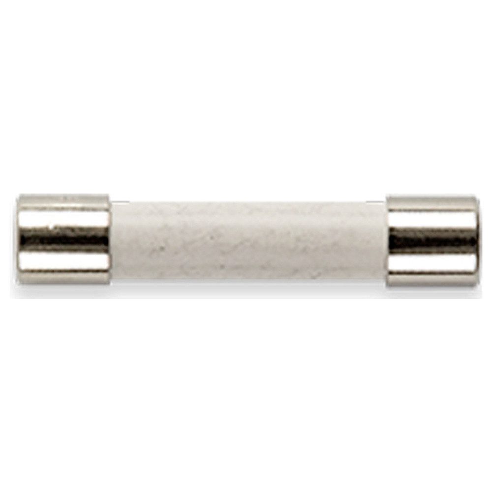 Spannungsprüfer Gossen Metrawatt Z109O FF 1 A/1000 V Sicherung 10 St.