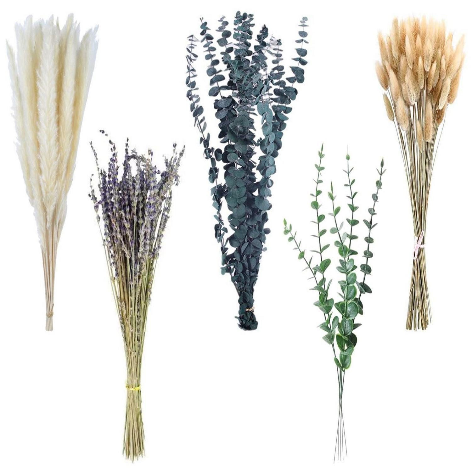 Trockenblume Trockenblumenstrauß 100 Bündel Mini gemischte Farben Boho, LuxusKollektion, Höhe 10 cm