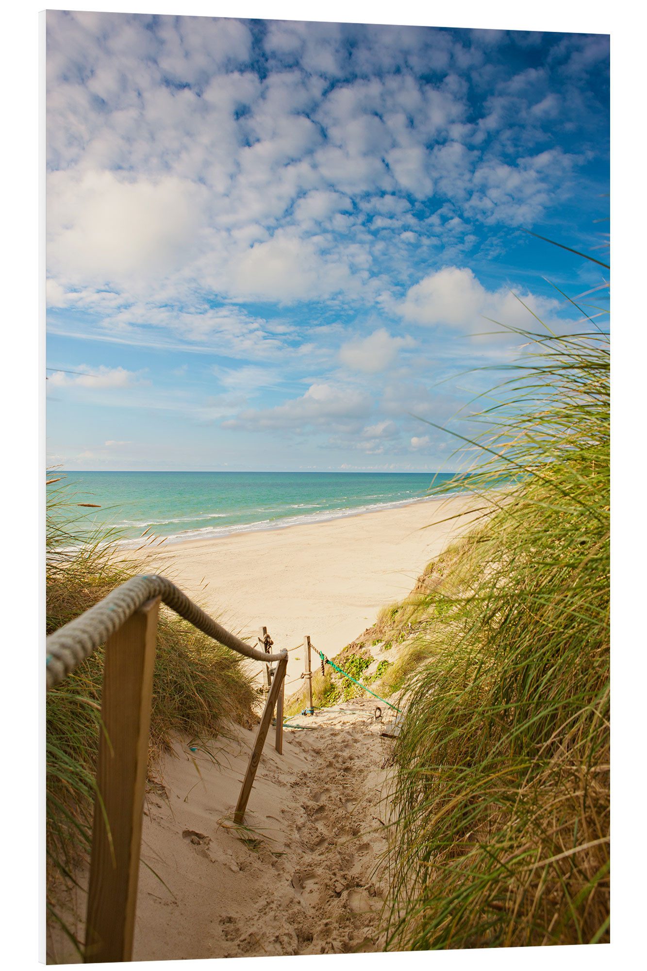 Posterlounge Forex-Bild Editors Choice, Schmaler Weg zum Strand, Badezimmer Maritim Fotografie