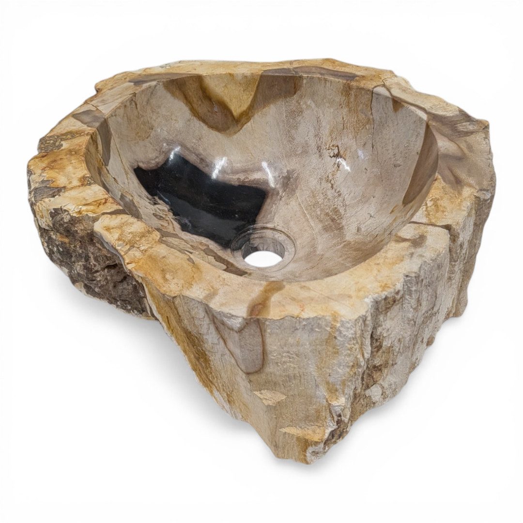 Kinaree Aufsatzwaschbecken Versteinertes Holz Waschbecken #15, poliert, Naturstein, Braun, Schwarz, Einzelstück