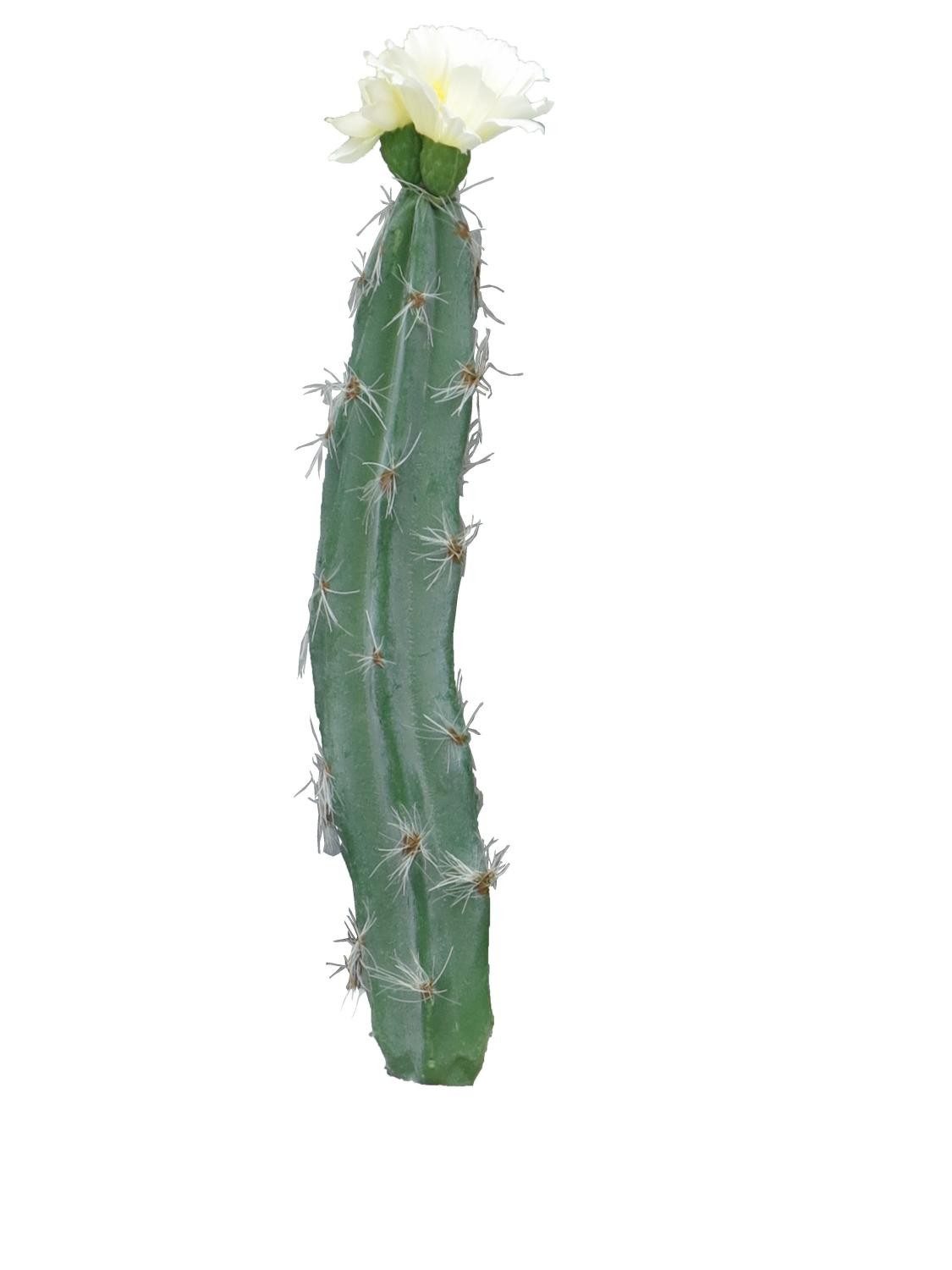 Kunstkaktus Deko Säulenkaktus SHUNLI mit Blüten, Steckstab, Creme, 23 cm Säulenkaktus, artplants, Höhe 23.0 cm