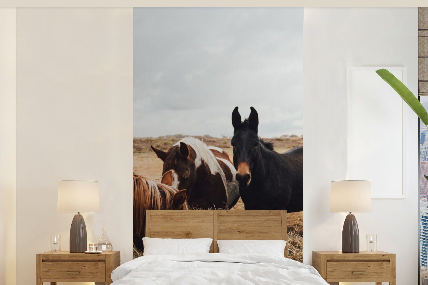 Wohnzimmer Vliestapete - St), (2 Pferd, Matt, MuchoWow Fototapete Küche, Tiere Fototapete bedruckt, für Schlafzimmer