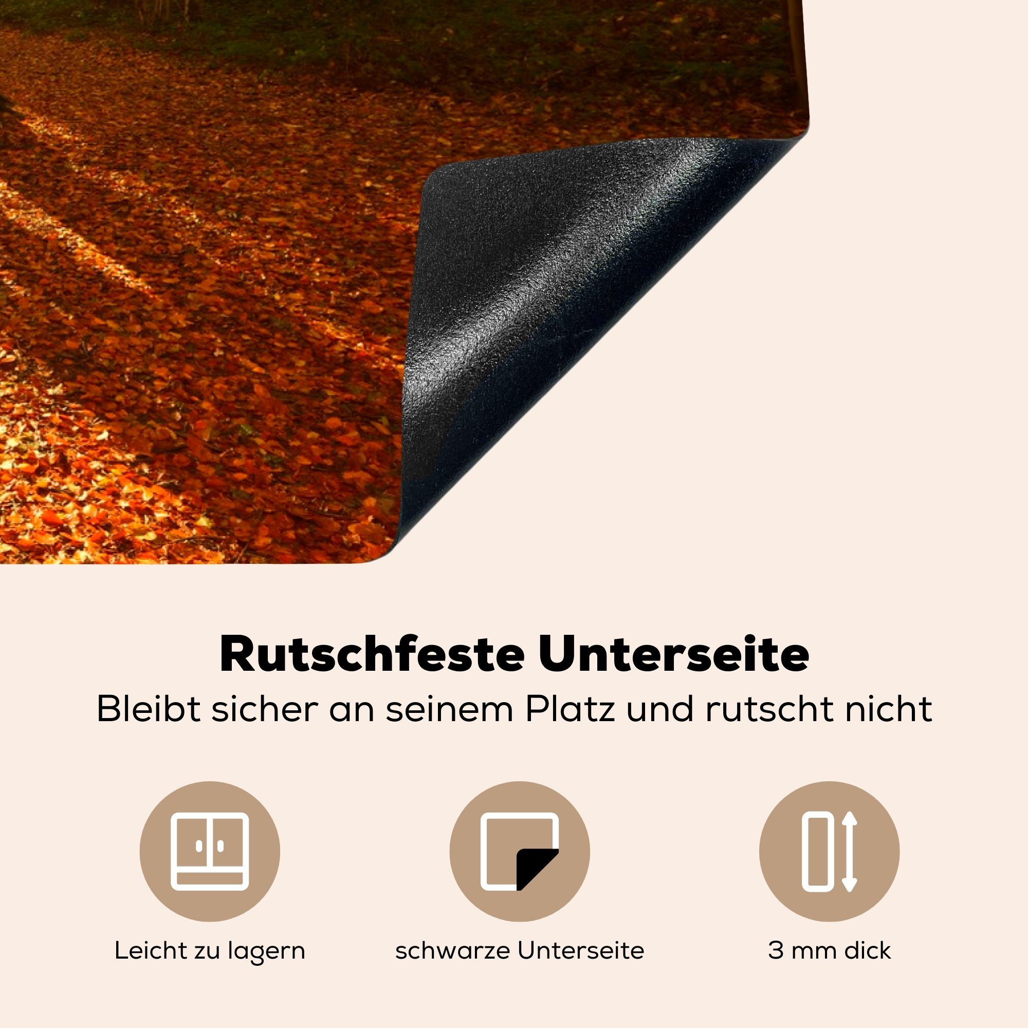 küche, Schutz für - 81x52 Ceranfeldabdeckung - cm, Licht Laub (1 Vinyl, Induktionskochfeld die Herdblende-/Abdeckplatte Herbst, tlg), MuchoWow