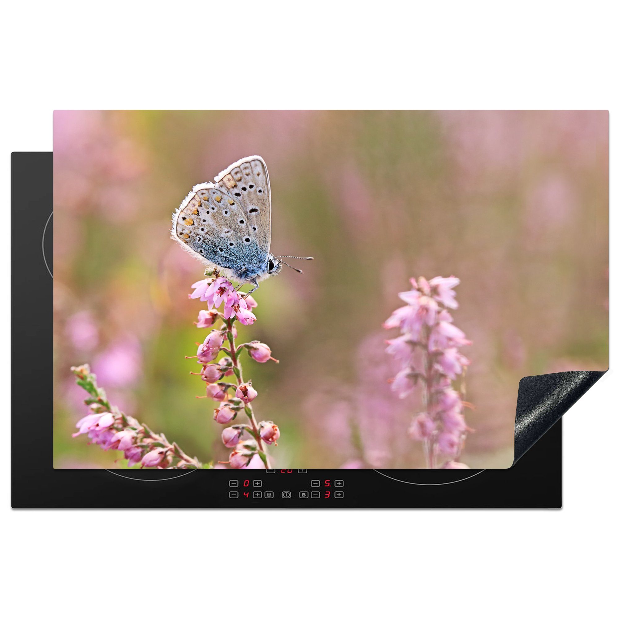 für tlg), Flügel, cm, Schutz (1 - Herdblende-/Abdeckplatte Blume Schmetterling küche, Vinyl, - 81x52 MuchoWow die Induktionskochfeld Ceranfeldabdeckung