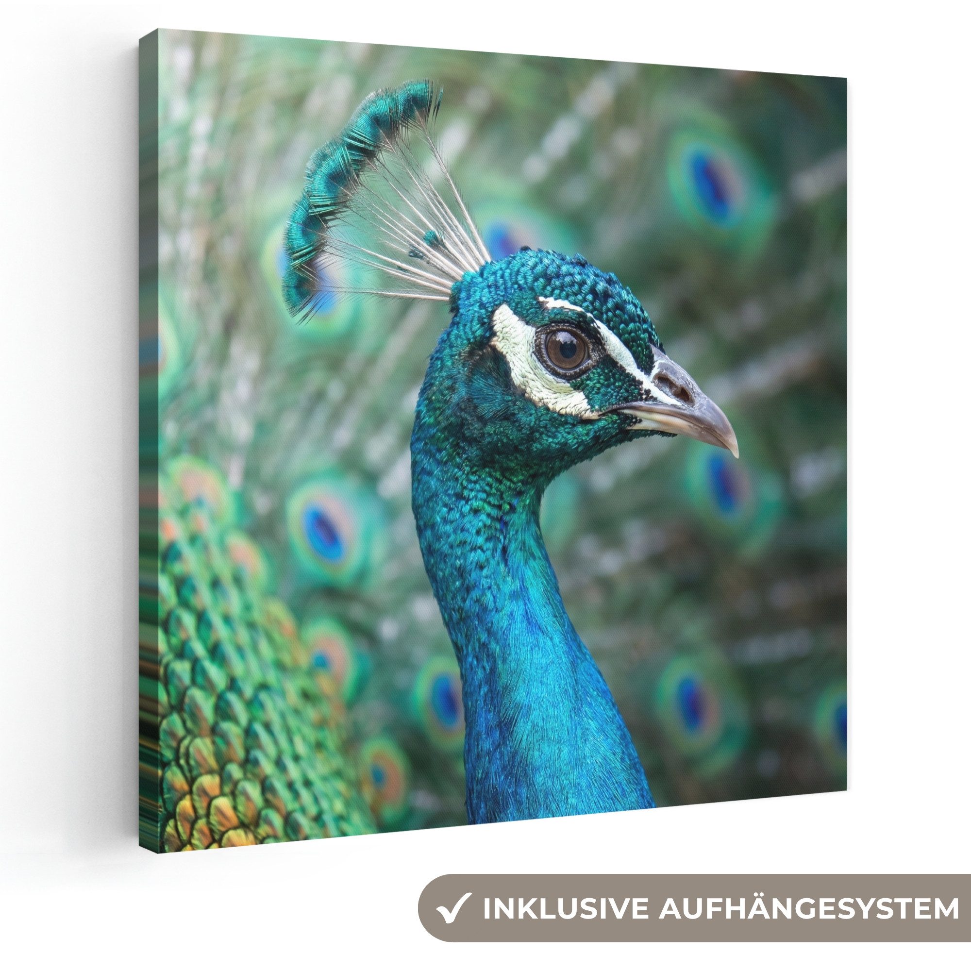 OneMillionCanvasses® Leinwandbild Pfau - Federn - Blau, Fotodruck (1 St), Wandbild, Deko Schlafzimmer Wohnzimmer Flur 20x20 cm