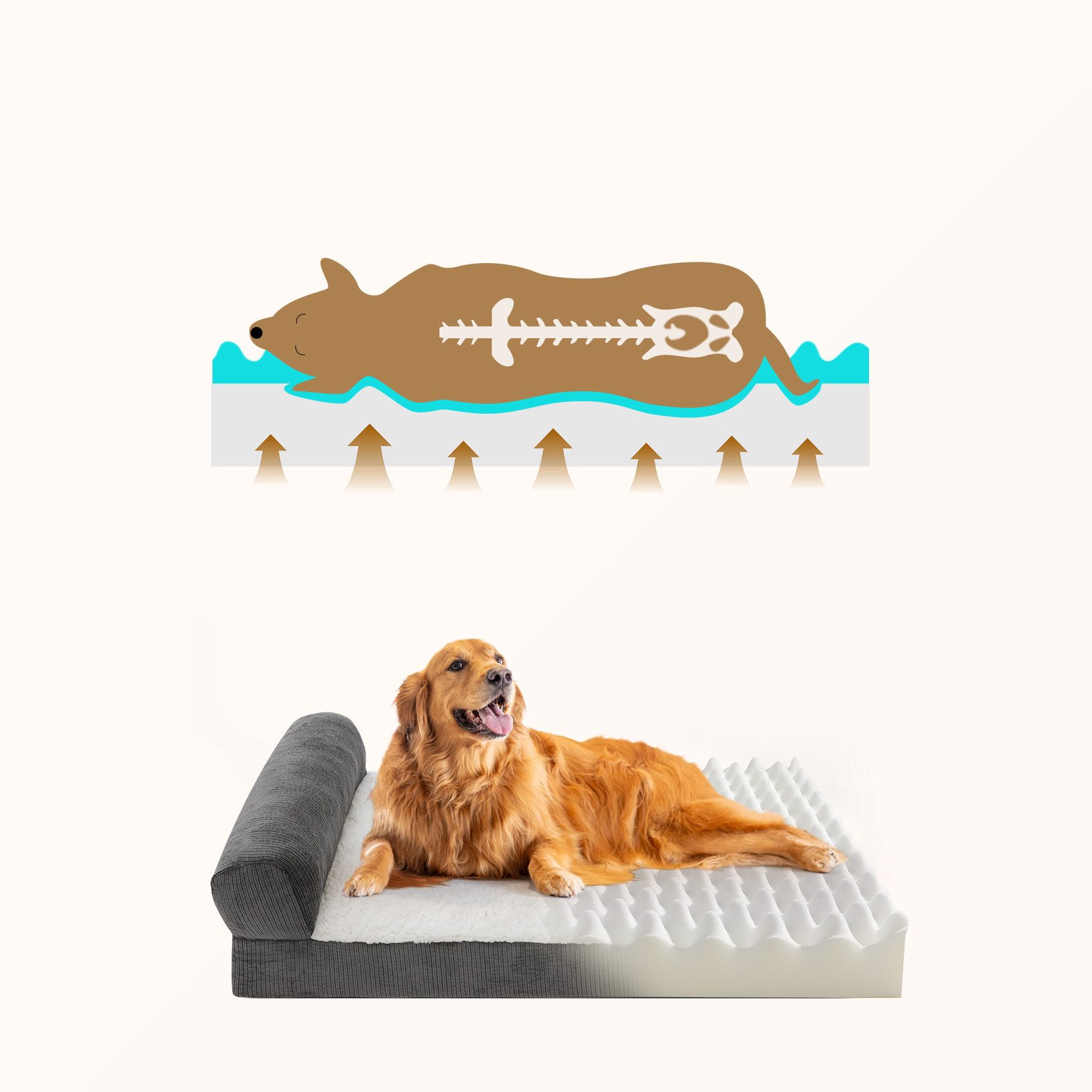 OUNUO Tierbett bequemes und weiches Hundebett mit abnehmbarem Stoffbezug günstig online kaufen
