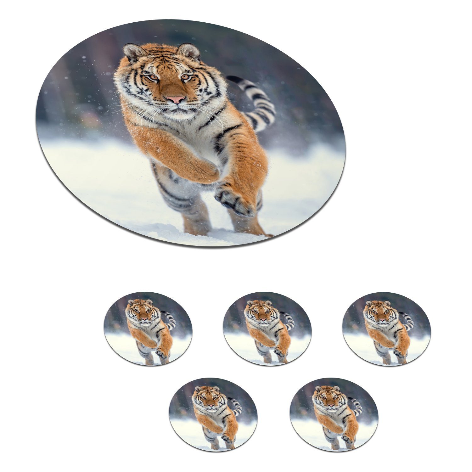 MuchoWow Glasuntersetzer Tiger - Landschaft - Schnee - Tiere, Zubehör für Gläser, 6-tlg., Getränkeuntersetzer, Tassenuntersetzer, Korkuntersetzer, Tasse, Becher | Getränkeuntersetzer