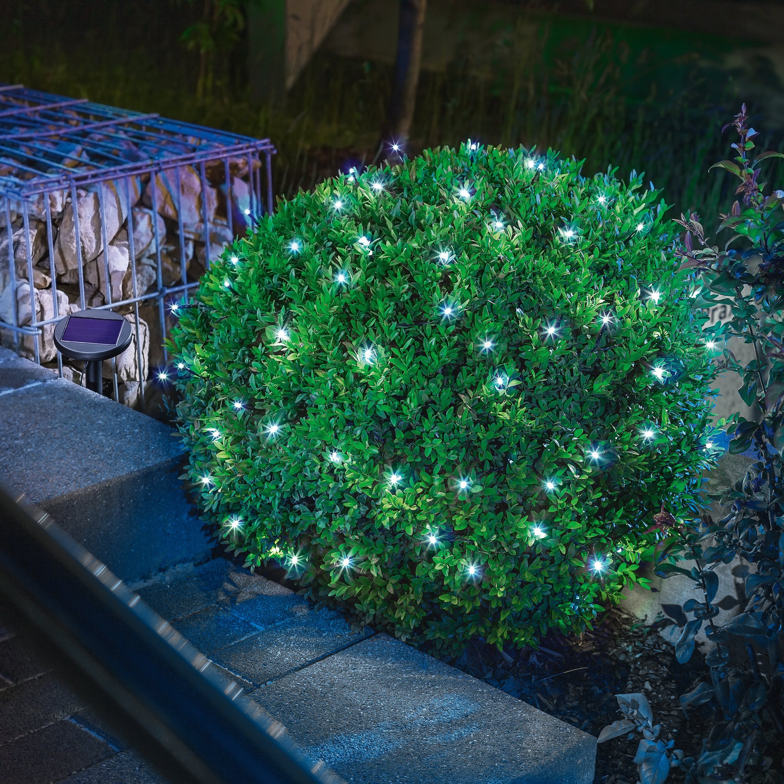 esotec LED-Lichterkette Solarkette 60 LEDs 6000K 6m LED-Kette +2m Zuleitung outdoor 102167, Dauer- oder Blinklicht, automatisch EIN/AUS bei Dämmerung