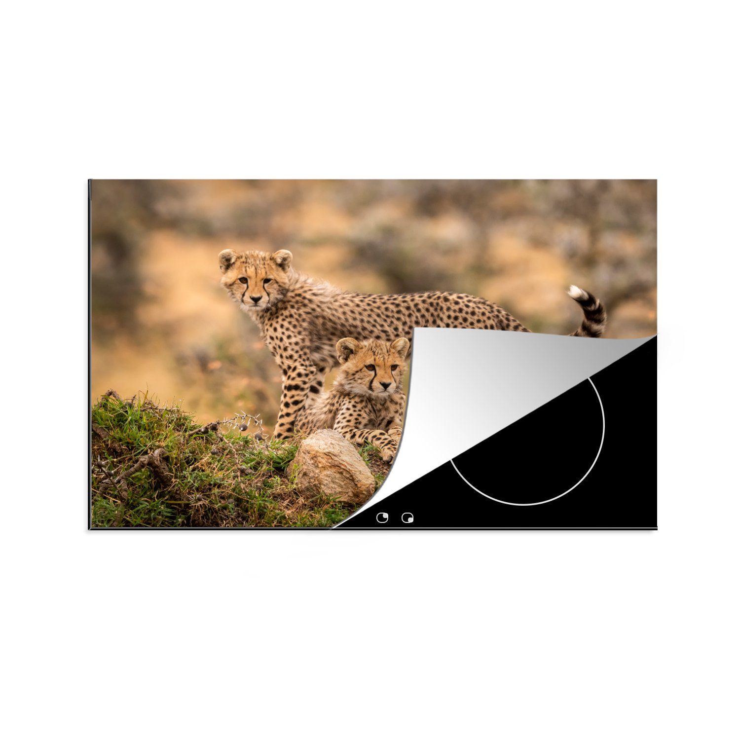 MuchoWow Herdblende-/Abdeckplatte Induktionskochfeld die Leopard tlg), küche, - cm, 81x52 Schutz Vinyl, Ceranfeldabdeckung (1 Jungtier für - Natur