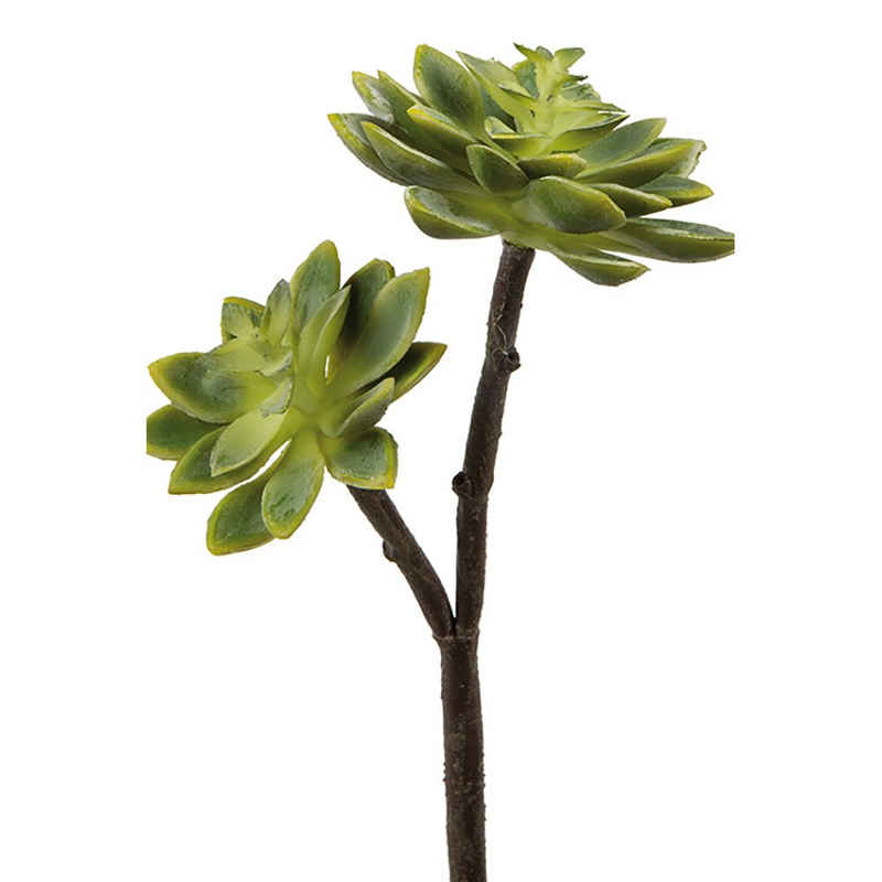 Kunstpflanze FINK Kunstblume Echeverie - grün - H. 32cm, Fink