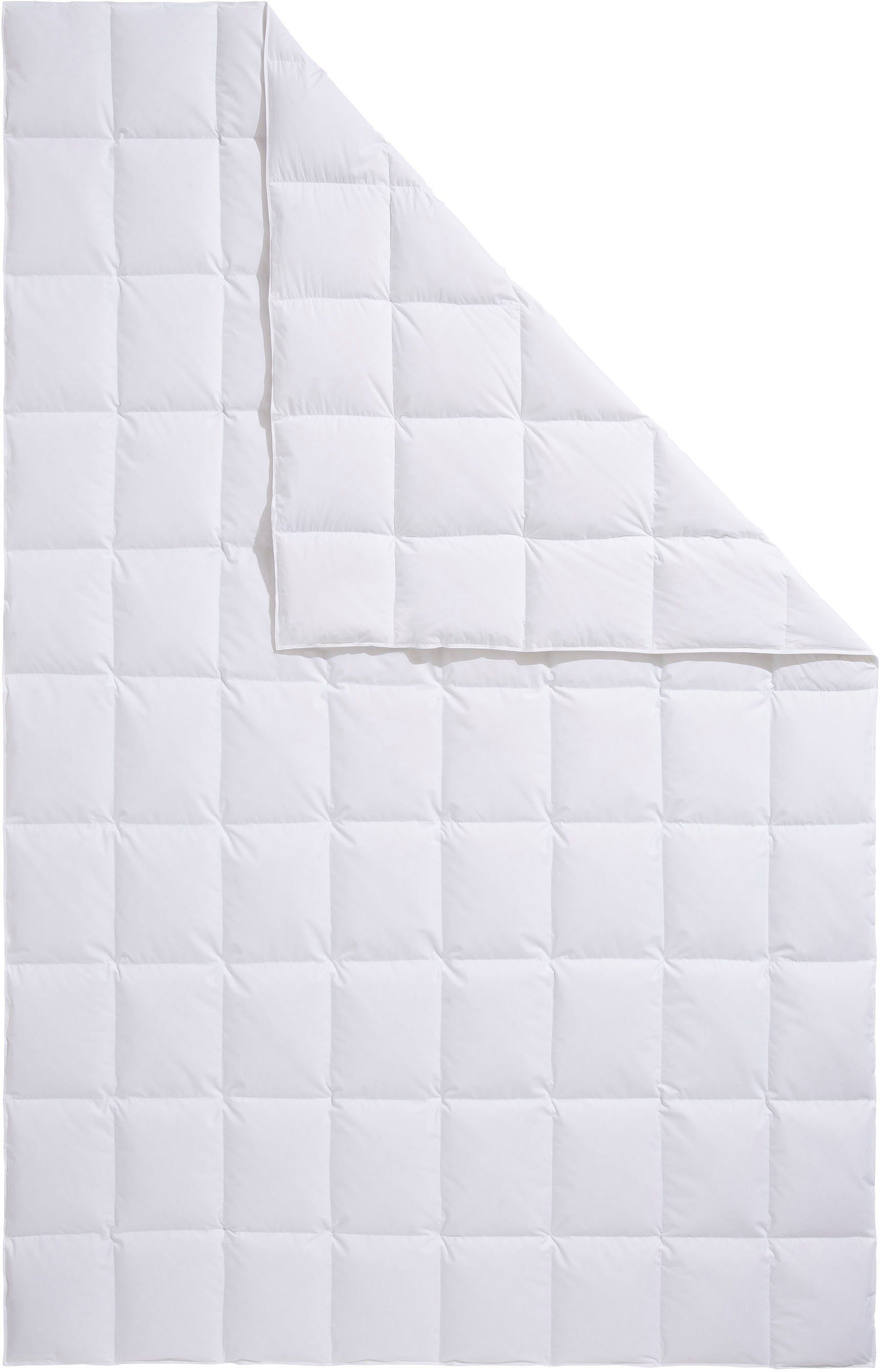 Älgdröm Daunenbettdecke Loftet, Bettdecke 135x200, 155x220 günstig online kaufen