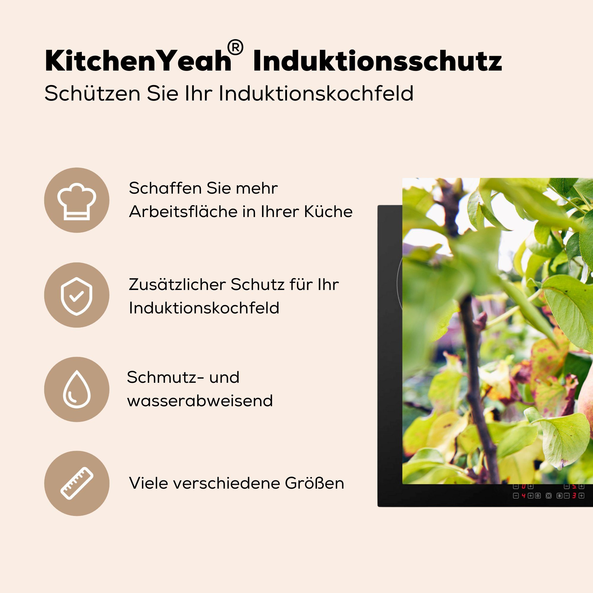 (1 Vinyl, MuchoWow für cm, Birnbaum die 81x52 Herdblende-/Abdeckplatte - Frühling, Induktionskochfeld tlg), Ceranfeldabdeckung - Früchte Schutz küche,