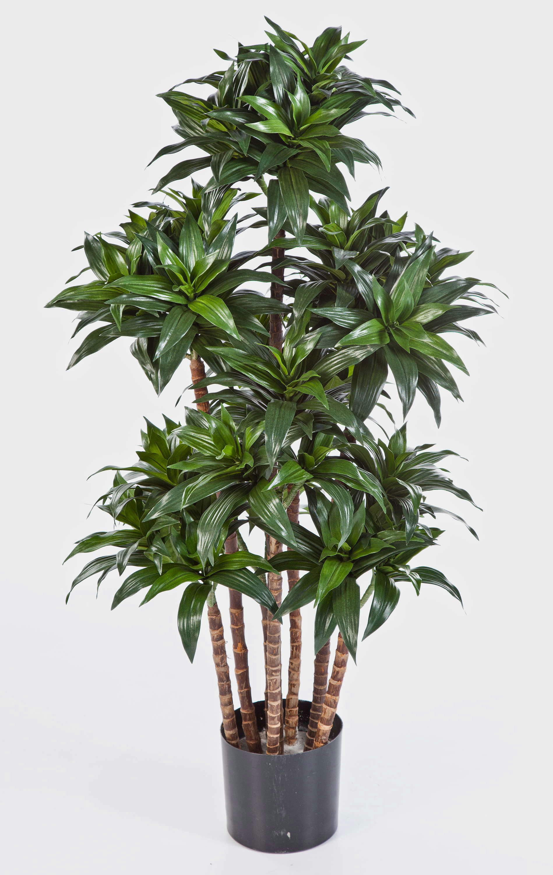 Kunstbaum Künstliche Dracaena Fragrans Compact, 120cm - Kleiner Kunstbaum Dracaena (Dracaena fragrans), artplants, Höhe 120.0 cm