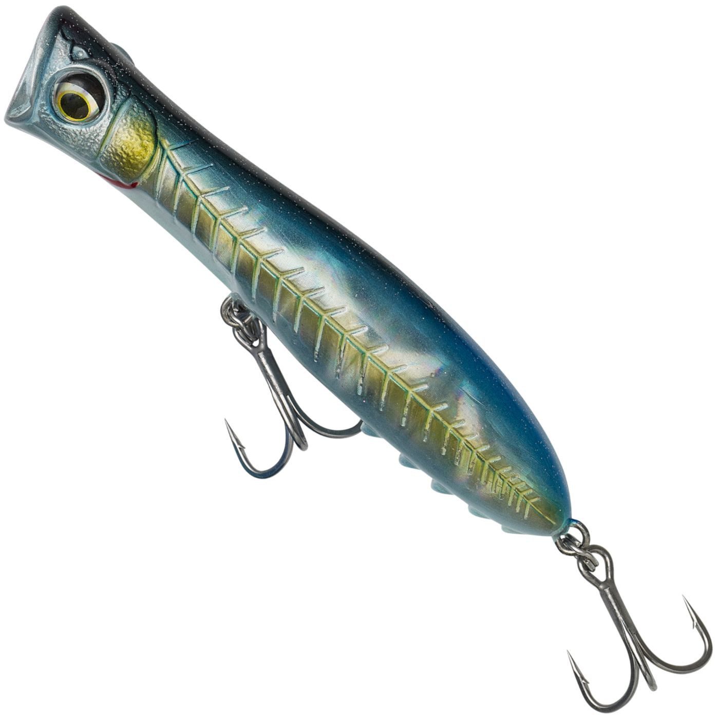 Imperial Sardine