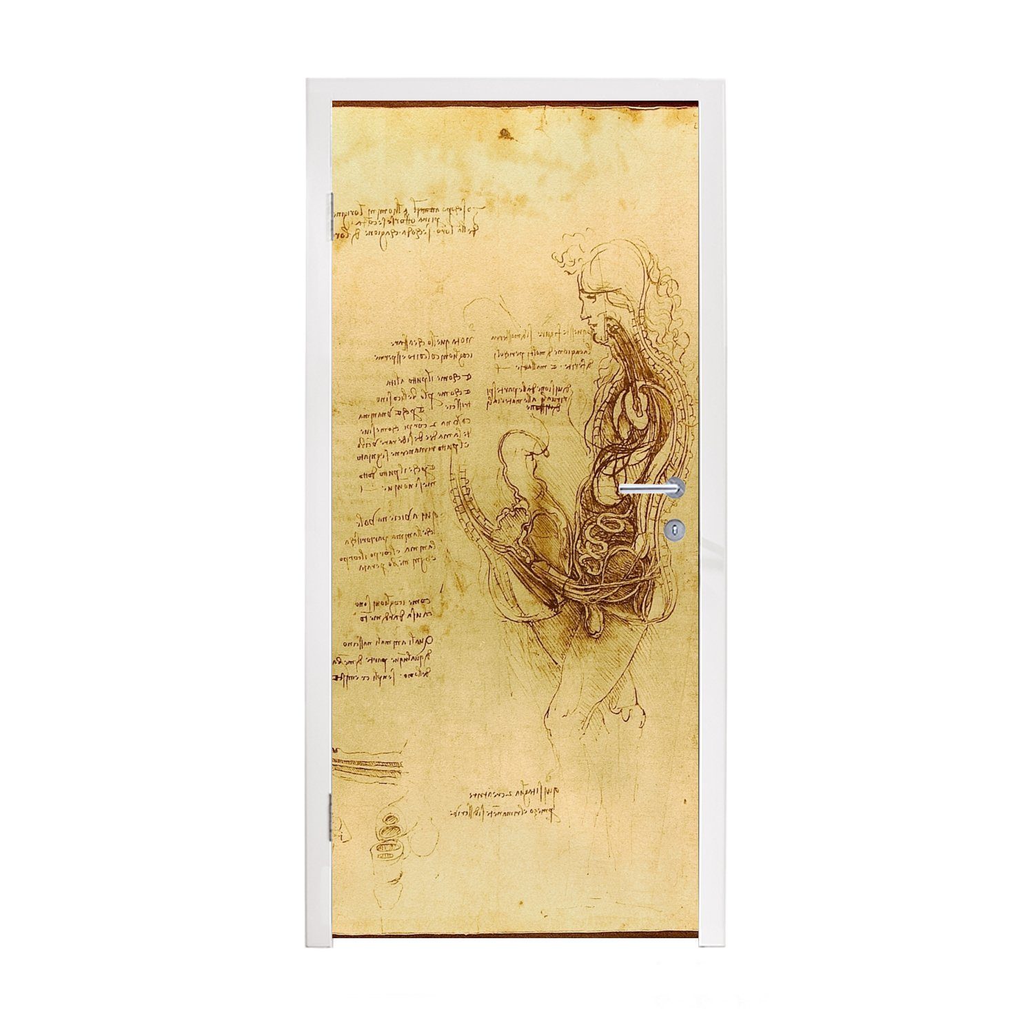 MuchoWow Türtapete Die menschliche Fortpflanzung - Leonardo da Vinci, Matt, bedruckt, (1 St), Fototapete für Tür, Türaufkleber, 75x205 cm