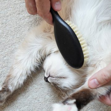 LucyBalu Fellbürste FIGARO für Katzen, Drei Varianten für verschiedene Katzentypen: Natur, Metall, Vegan, für Katzen mit kurzem und langem Fell
