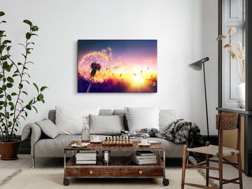 Sinus Art Leinwandbild 120x80cm Wandbild auf Leinwand Sonnenuntergang Abendröte Pusteblume Fo, (1 St)