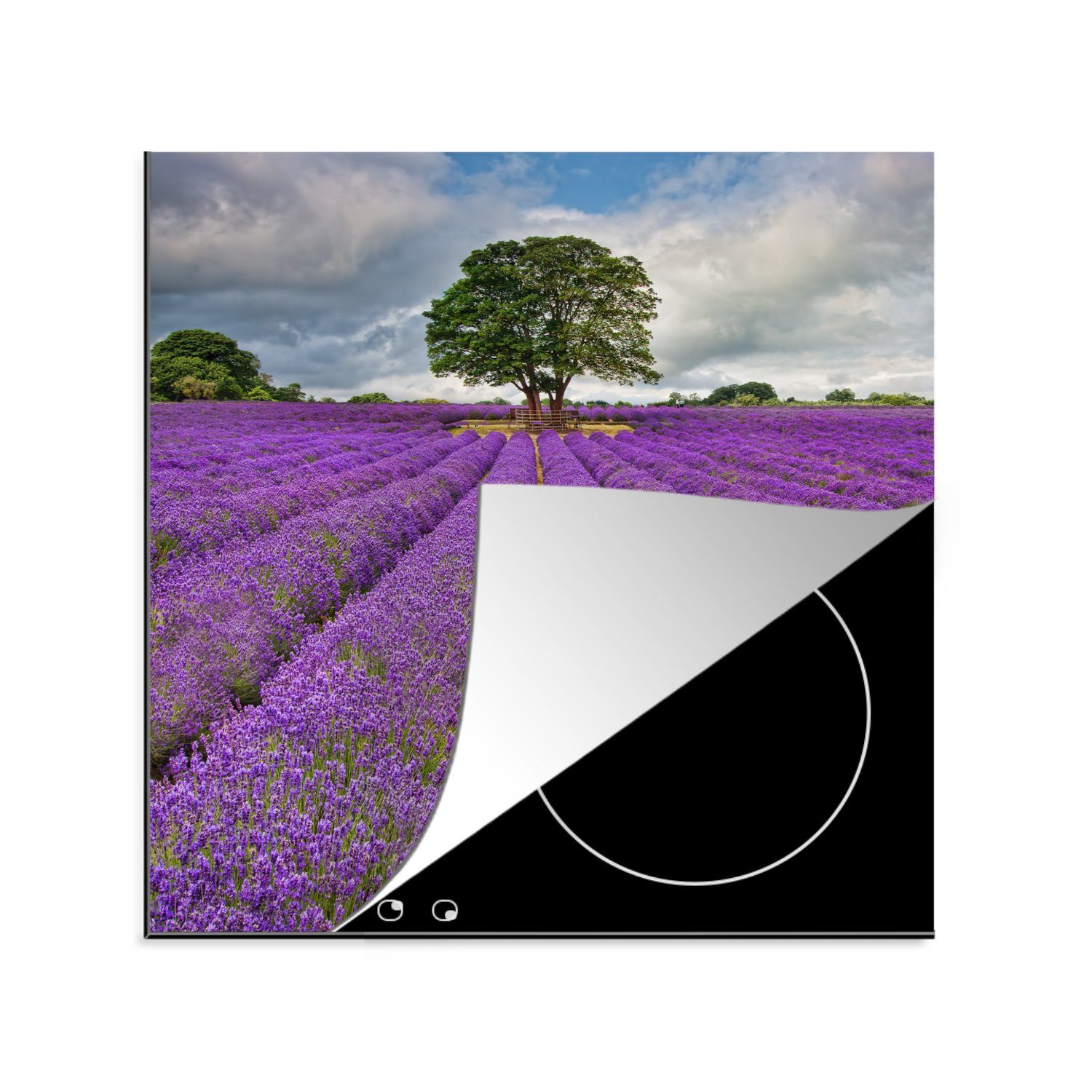 MuchoWow Herdblende-/Abdeckplatte Lila Lavendelfeld mit bewölktem Himmel, Vinyl, (1 tlg), 78x78 cm, Ceranfeldabdeckung, Arbeitsplatte für küche