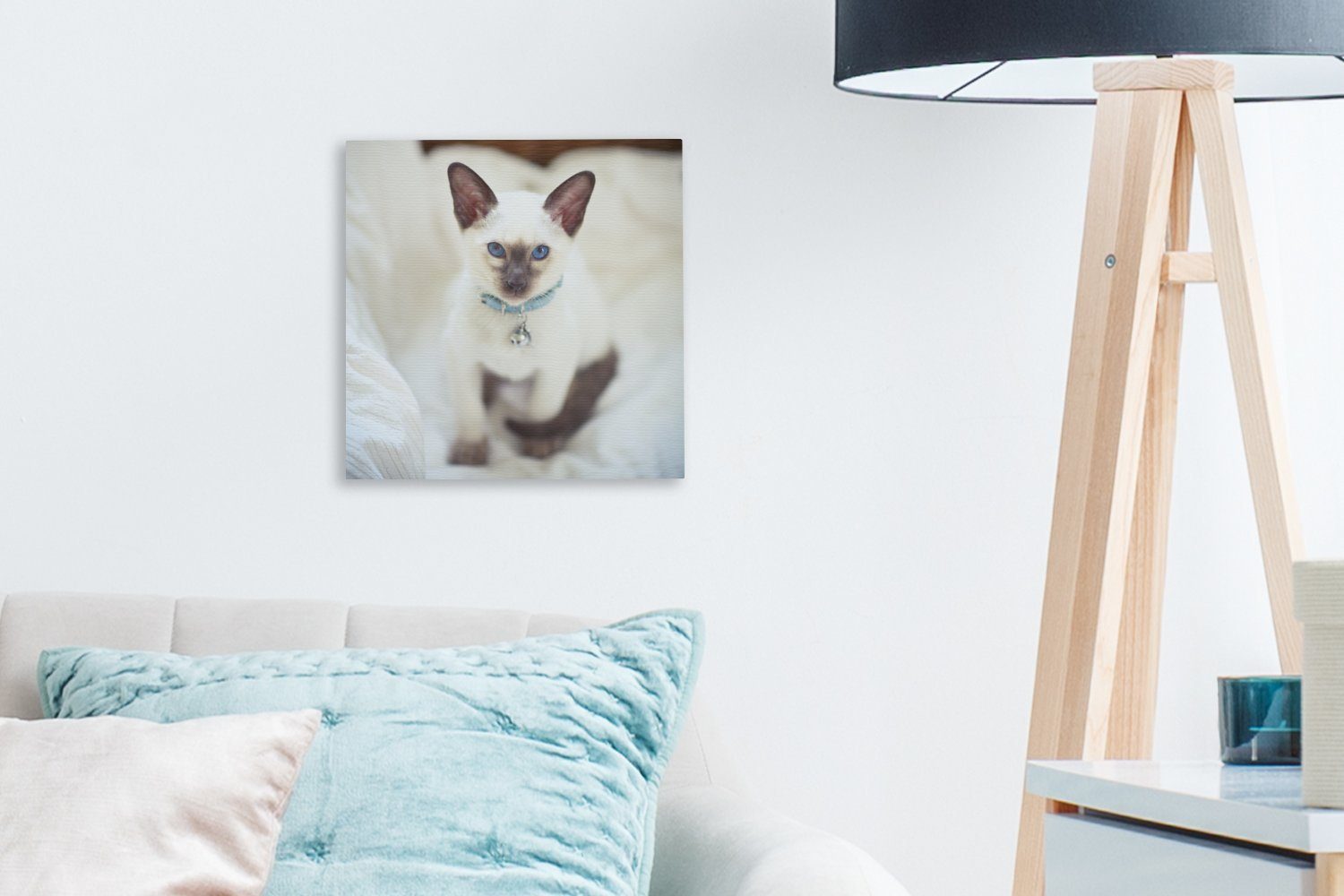 OneMillionCanvasses® Leinwandbild Eine gefärbte Bilder Wohnzimmer St), Katze, für (1 Leinwand weiß Siamesische Schlafzimmer