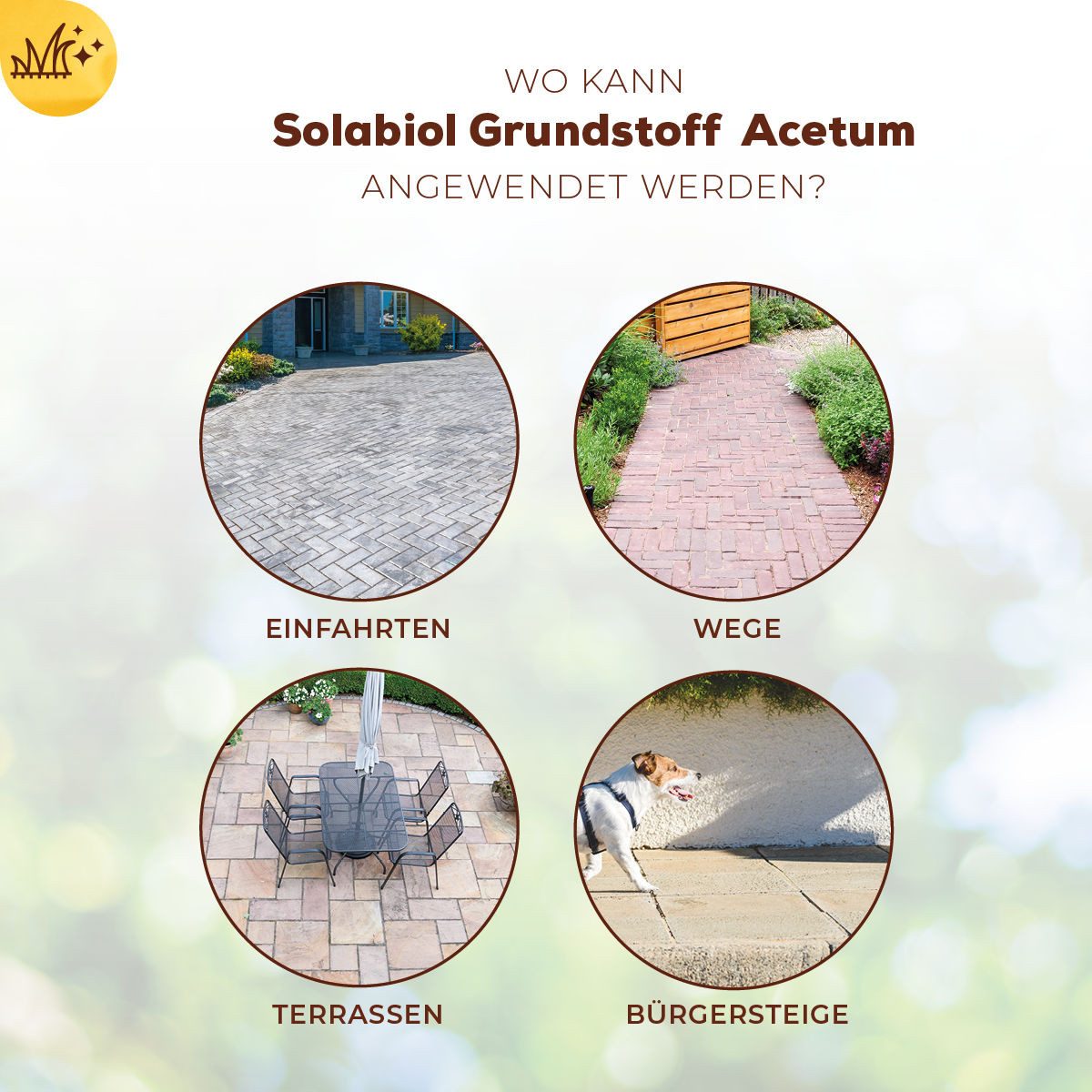 Solabiol Unkrautbekämpfungsmittel Grundstoff Acetum 3 L - zur Unkrautbeseitigung auf Wegen und Terrassen, 3000 ml – Bild 5 von 5