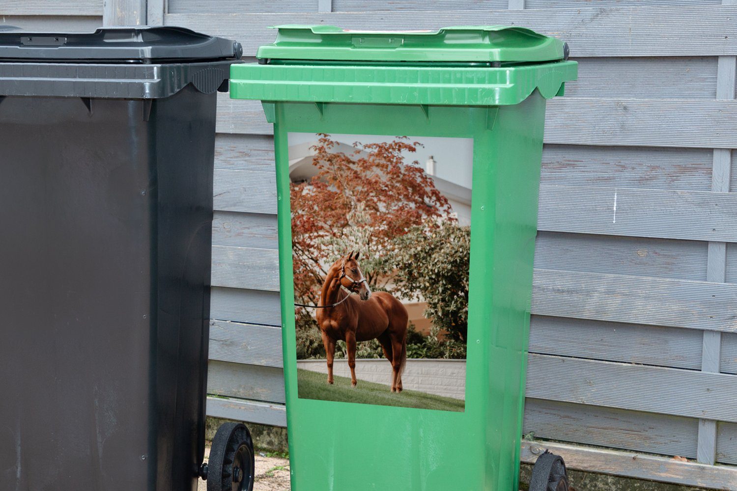 Baum Mülleimer-aufkleber, - Sticker, Wandsticker - Abfalbehälter Halfter St), Pferd Mülltonne, (1 Container, MuchoWow