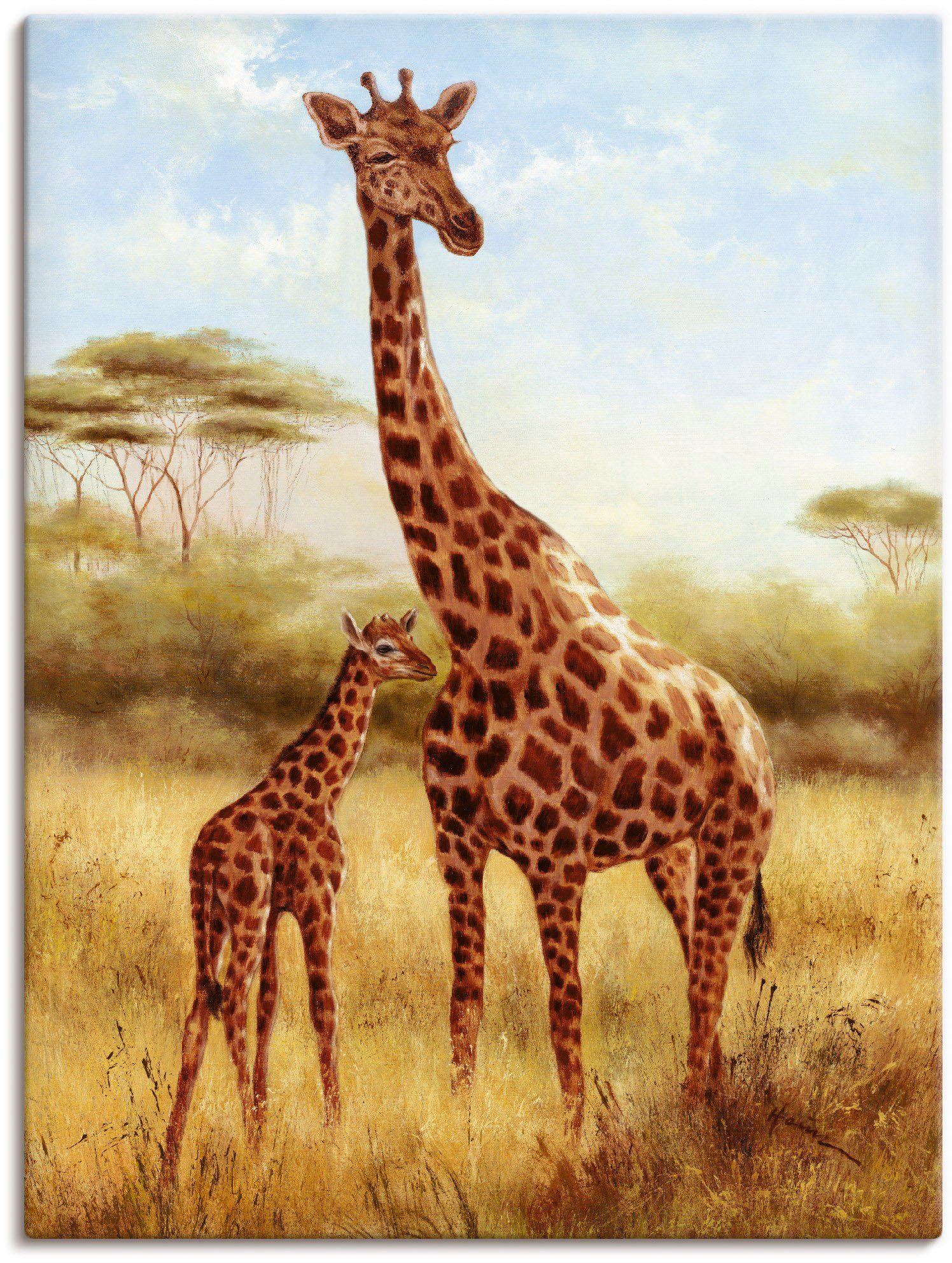 Wandbild Alubild, Artland Größen in Leinwandbild, (1 als St), Wildtiere Giraffe, versch. Wandaufkleber oder Poster