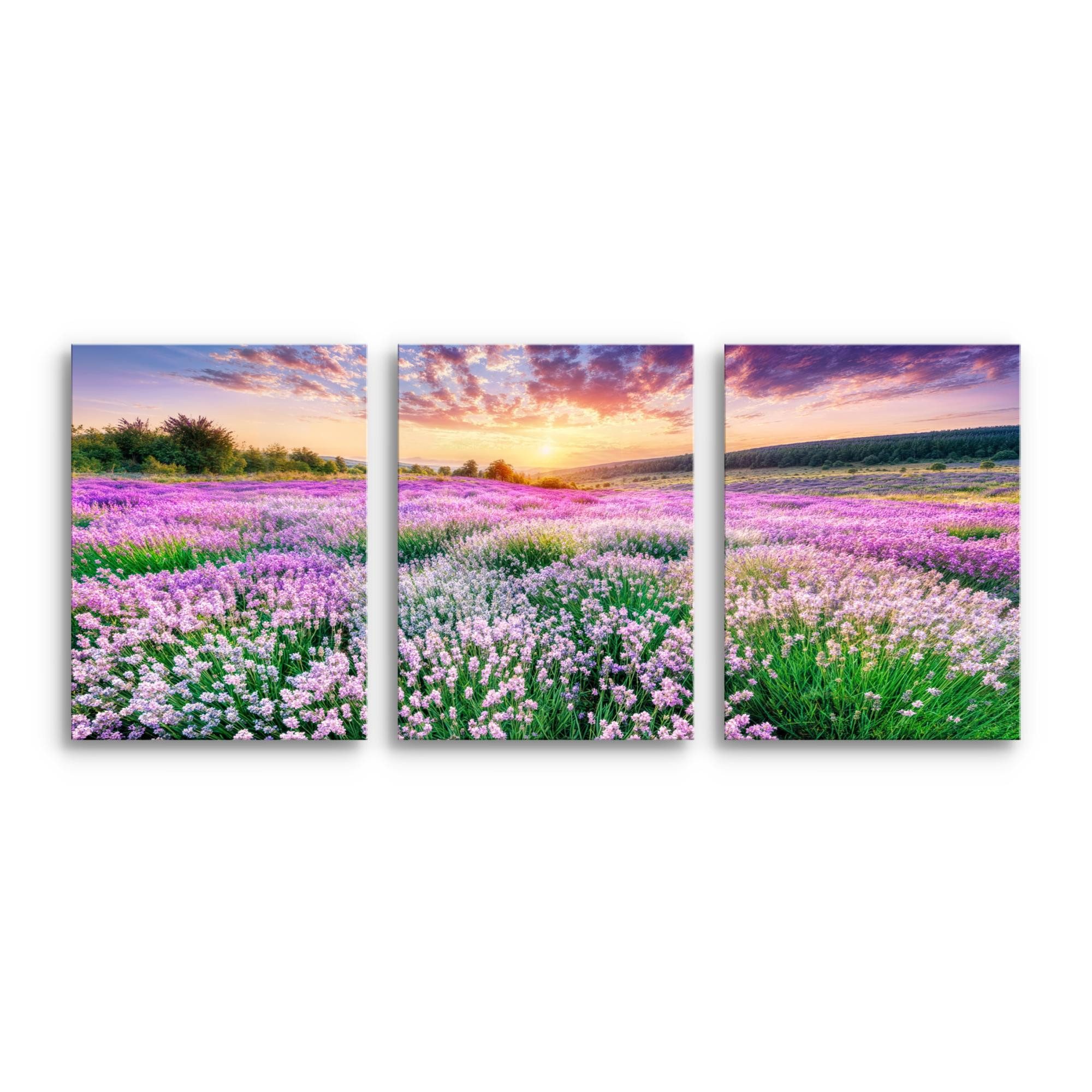 Novart Wandbild Baum des Lebens Abstrakt Modern Wandbilder Set Wohnzimmer, Lavendel