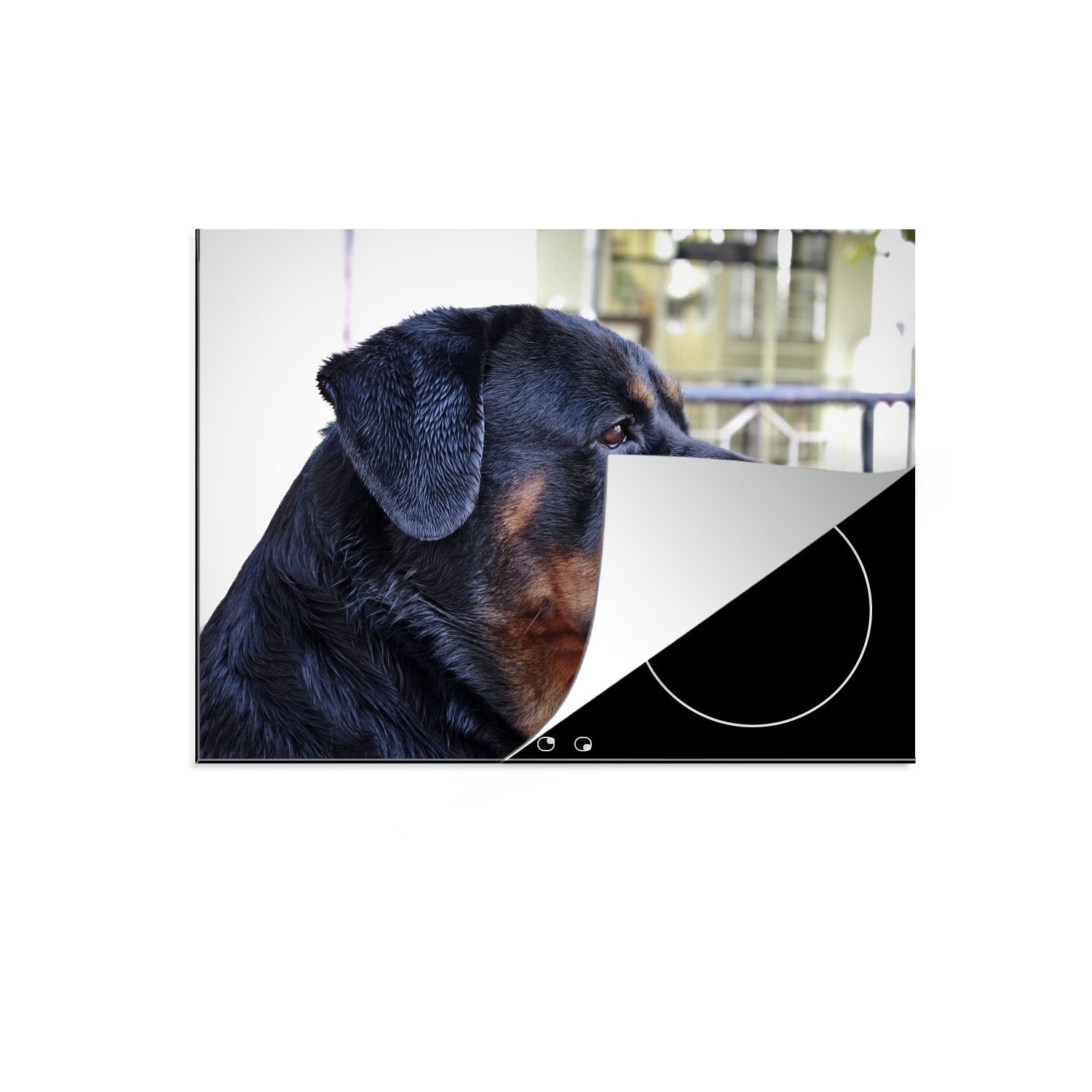 MuchoWow Herdblende-/Abdeckplatte Seitenansicht des Kopfes eines Rottweilers, Vinyl, (1 tlg), 70x52 cm, Mobile Arbeitsfläche nutzbar, Ceranfeldabdeckung