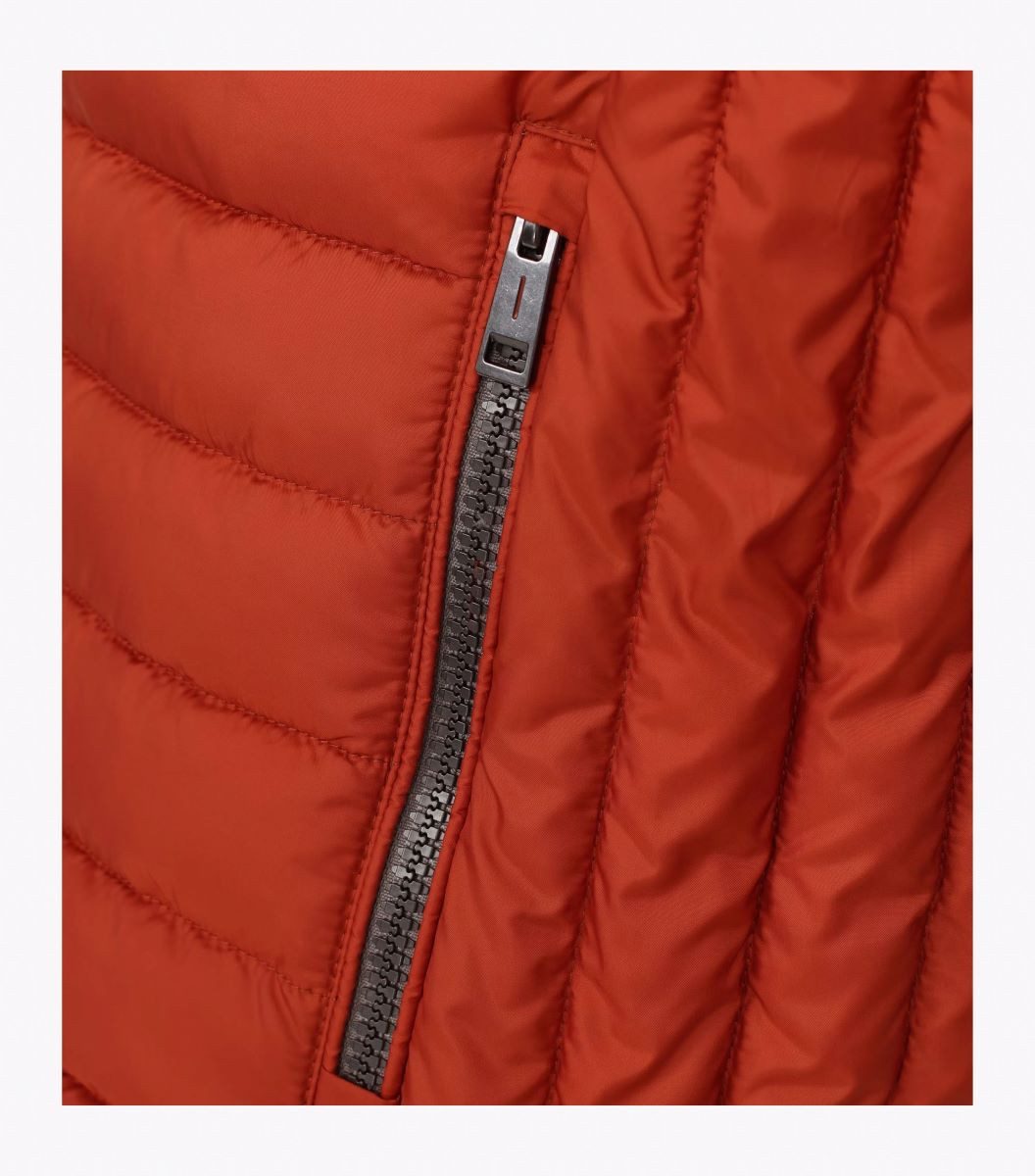 Orange (484)