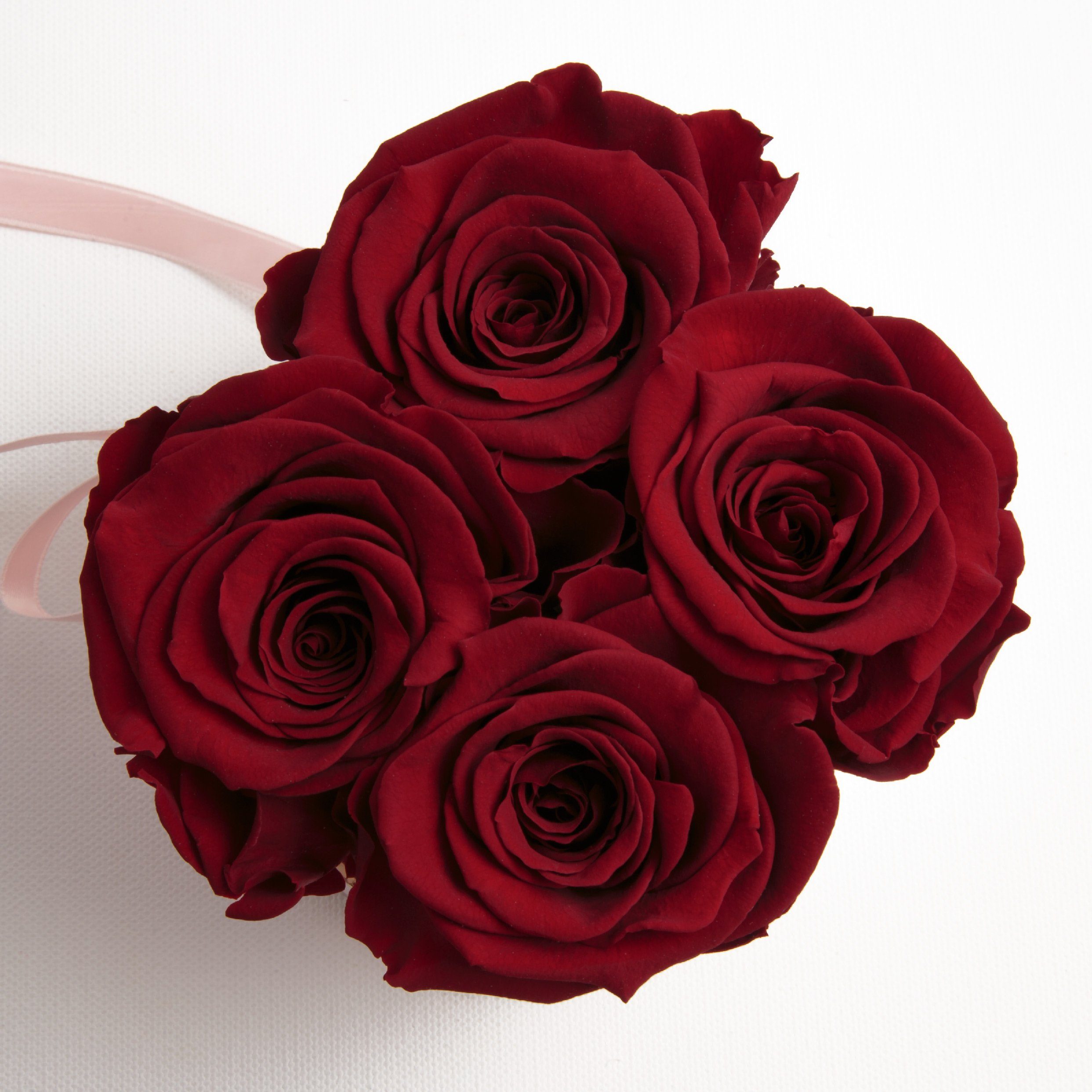ROSEMARIE Infinity SCHULZ Höhe konservierte Kunstblume cm, echte Rosen Heidelberg, Rose, 4 Rosenbox rund Frauen für Geschenk 10 konservierte Burgundy rosa Rosen