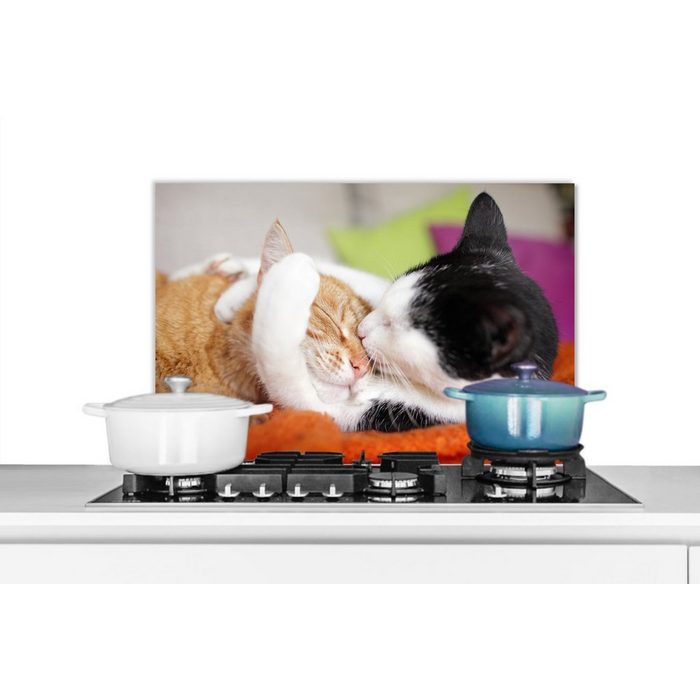 MuchoWow Küchenrückwand Katzen - Kuscheltier - Animal Day (1-tlg) Herdblende aus Wandschutz Temperaturbeständig küchen